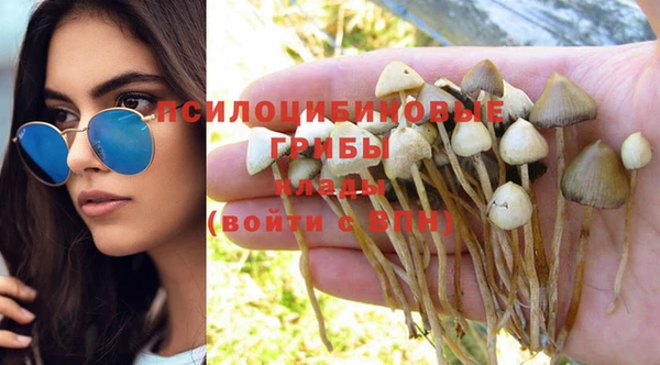 молекула духа Алзамай